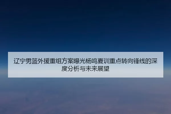 辽宁男篮外援重组方案曝光杨鸣夏训重点转向锋线的深度分析与未来展望